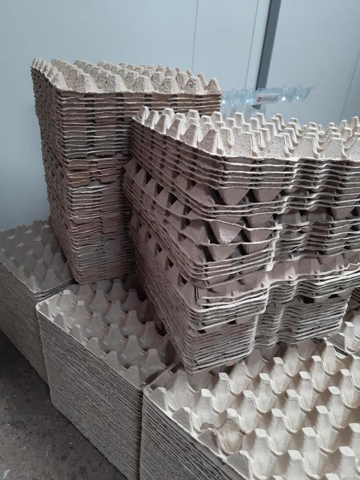 Partij Eiertrays - 300+ stuks, Dieren en Toebehoren, Overige Dieren-accessoires, Ophalen of Verzenden