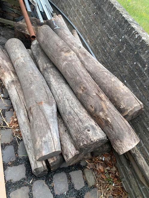 9 boomstam palen ( roninia? ), Tuin en Terras, Palen, Balken en Planken, Zo goed als nieuw, Palen, Minder dan 180 cm, Ophalen