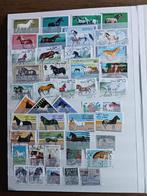 Buitenlandse Postzegels paarden, Ophalen of Verzenden, Gestempeld, Dier of Natuur