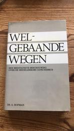 welgebaande wegen Ds. A. Hofman meditaties catechismus, Boeken, Godsdienst en Theologie, Ophalen of Verzenden, Zo goed als nieuw
