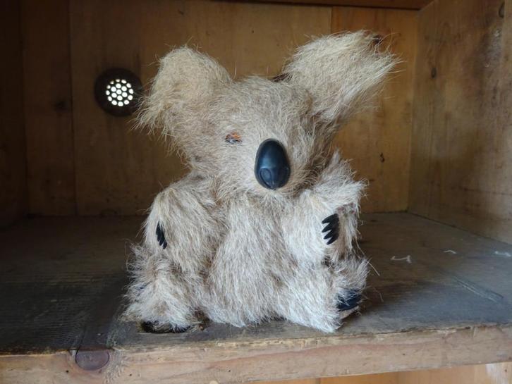 Koala beer knuffel (Aussie made), Antiek en Kunst, Curiosa en Brocante, Ophalen of Verzenden