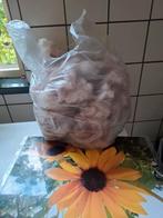 Gewassen wol van  Coburger Fuchs, Hobby en Vrije tijd, Ophalen of Verzenden, Nieuw, Spinwol