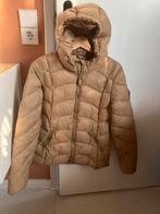 Dames tussenjas winterjas beige capuchon, Ophalen of Verzenden, Zo goed als nieuw, Maat 36 (S), Beige