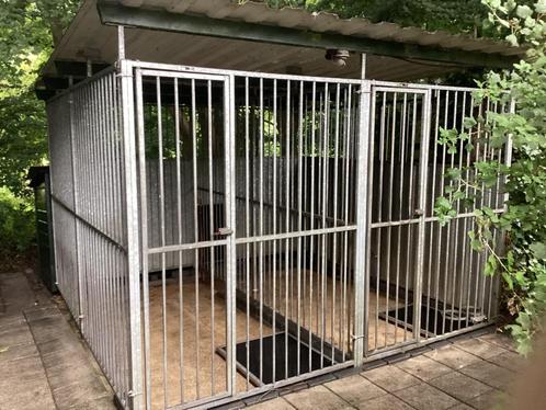 Honden kennel, Dieren en Toebehoren, Hondenhokken, Gebruikt, Hondenkennel, 100 cm of meer, 110 cm of meer, Ophalen