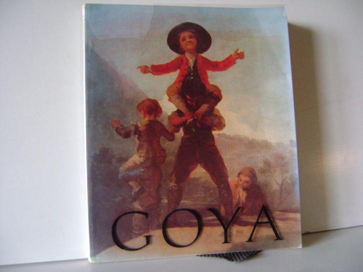 Boek over de schilder Goya(zie omschrijving), Boeken, Kunst en Cultuur | Beeldend, Gelezen, Schilder- en Tekenkunst, Ophalen of Verzenden