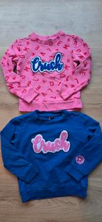 2 warme truien maat 110, Kinderen en Baby's, Kinderkleding | Maat 98, Meisje, Trui of Vest, Ophalen of Verzenden, Zo goed als nieuw