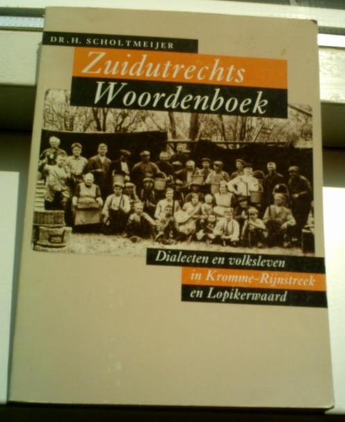 Zuidutrechts Woordenboek(Dr. H. Scholtmeijer, 9053450297)., Boeken, Geschiedenis | Stad en Regio, Zo goed als nieuw, 20e eeuw of later