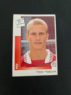 Peter Hoekstra - PSV Eindhoven - Panini Voetbal 96 Sticker, Ophalen of Verzenden, Zo goed als nieuw, PSV, Poster, Plaatje of Sticker