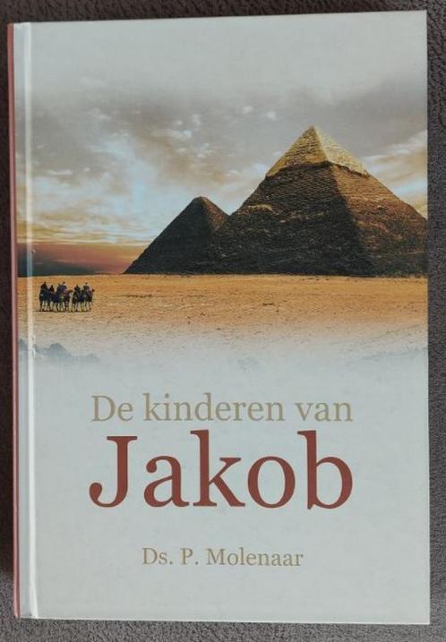 Ds. P. Molenaar: De kinderen van Jacob, Boeken, Godsdienst en Theologie, Zo goed als nieuw, Ophalen of Verzenden