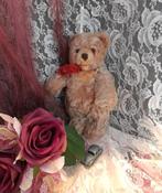 Mooie oude teddy beer ca 22 cm, Ophalen of Verzenden