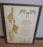 Garderegimenten Grenadiers, Jagers en Fuseliers, Verzamelen, Ophalen of Verzenden, Landmacht, Nederland