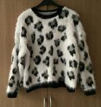 Trui.  Mt M.  Zacht!      Paola., Kleding | Dames, Truien en Vesten, Verzenden, Nieuw, Maat 38/40 (M)