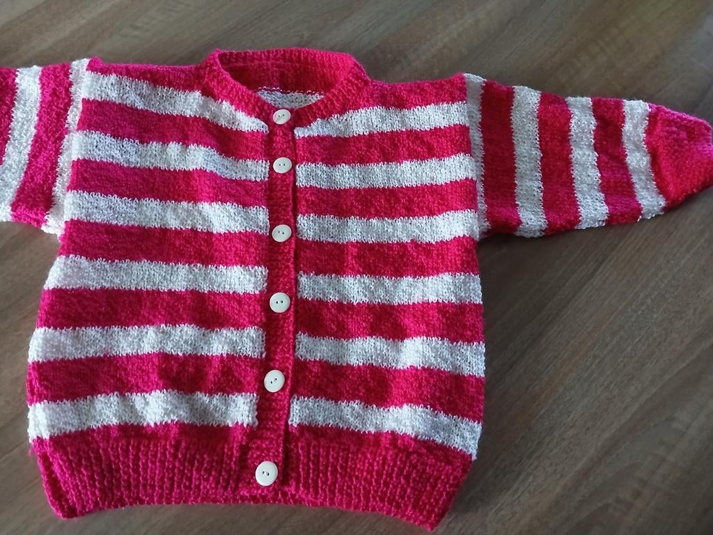 Fleurig vest ( 104), Kinderen en Baby's, Babykleding | Maat 68, Ophalen, Zo goed als nieuw, Meisje, Truitje of Vestje