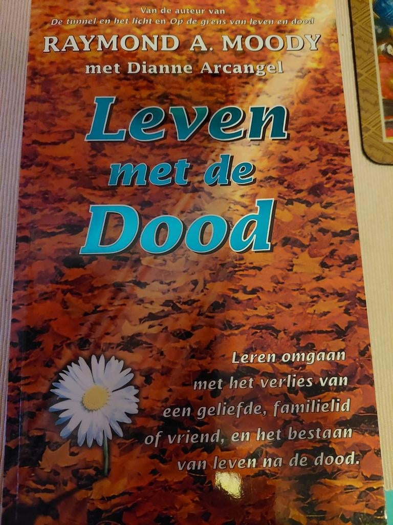 Raymond a moody leven met de dood, Boeken, Ophalen, Zo goed als nieuw, Ziel of Sterfelijkheid, Overige typen