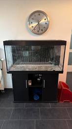 Juwel 350 aquarium - 121x51x66 cm, Ophalen, Gebruikt, Leeg aquarium