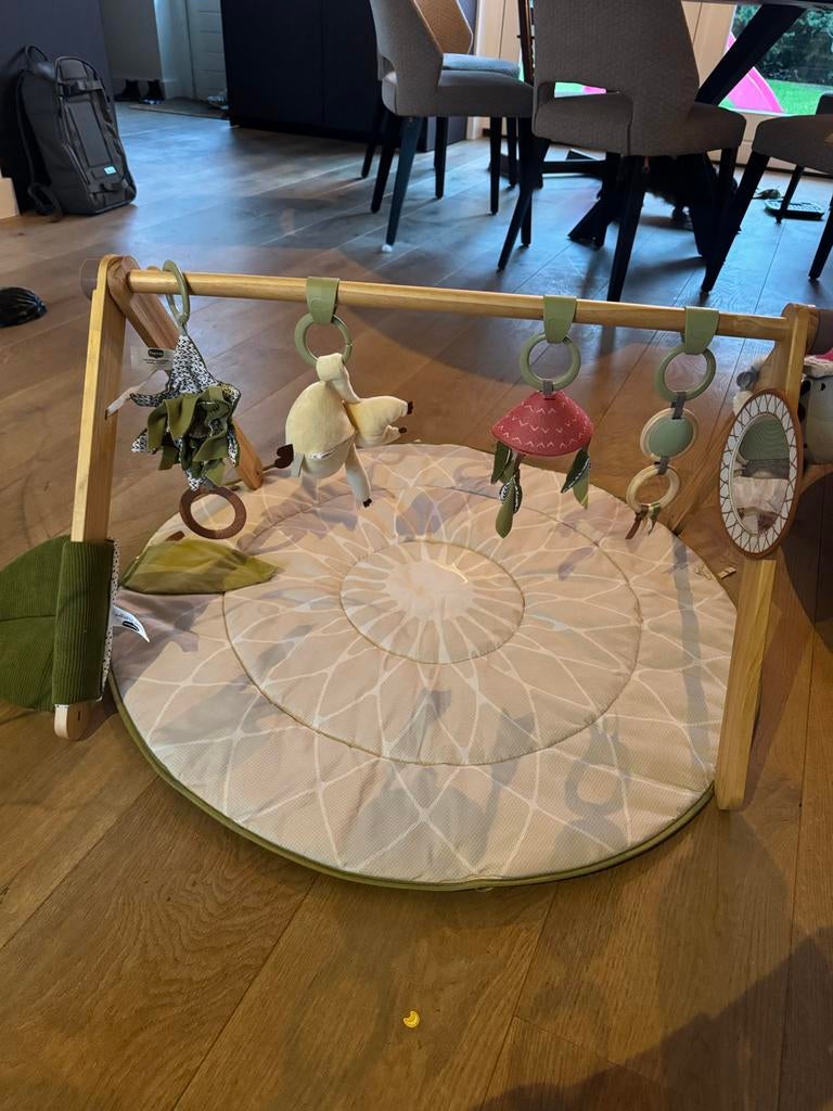 Tiny Love Babygym met speelkleed en speeltjes, Kinderen en Baby's, Speelgoed | Babyspeelgoed, Ophalen, Zo goed als nieuw, Babygym