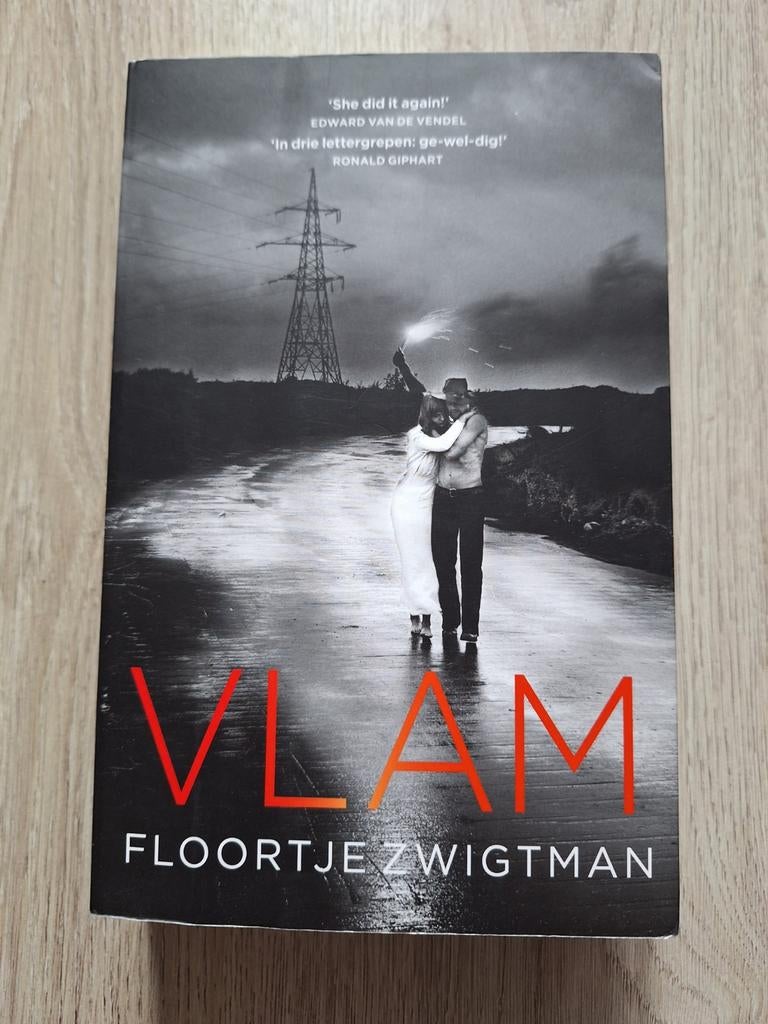 Vlam - Floortje Zwigtman (Boek), Boeken, Ophalen of Verzenden, Zo goed als nieuw, Floortje Zwigtman, Nederland