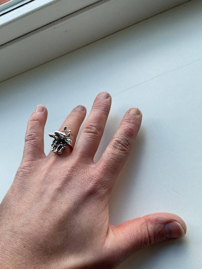 Zilveren ring, Gebruikt, Ophalen of Verzenden, 17 tot 18, Dame