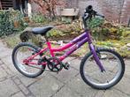 Meisjesfiets 17 inch - 5-8 jaar, Fietsen en Brommers, Fietsen | Meisjes, Ophalen, Gebruikt, Onbekend, Handrem