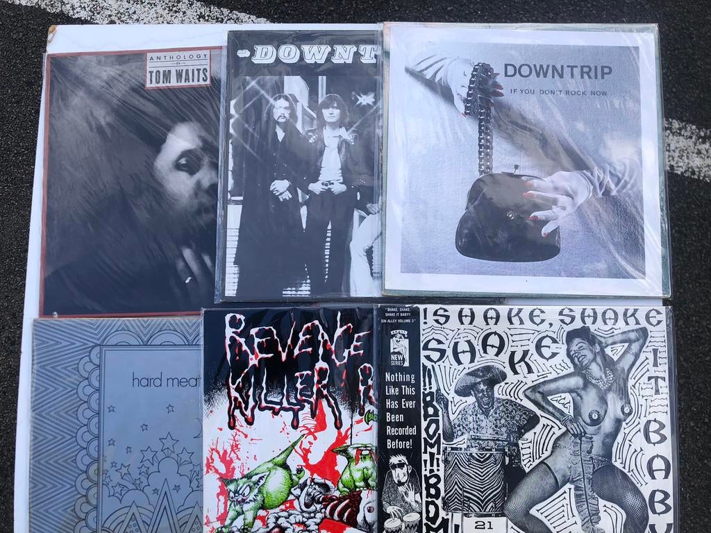 Diverse LPs 25€ ps (2 X Downtrip, Hard Meat, Tom Waits), Cd's en Dvd's, Vinyl | Rock, Inclusief binnenhoes, Ophalen of Verzenden