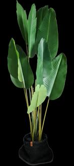 Kunstplant strelitzia (2 stuks) van IKEA, Ophalen