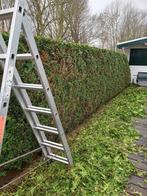 TUINMAN | HOVENIER GEZOCHT- AANGEBODEN, Garantie, Tuinontwerp