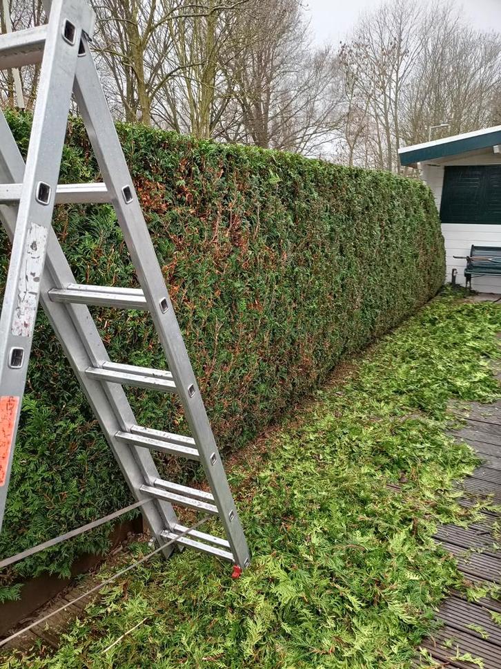 TUINMAN | HOVENIER GEZOCHT- AANGEBODEN, Diensten en Vakmensen, Tuinmannen en Stratenmakers, Bestrating, Hekwerk of Schuttingen