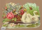 Zwanen trekken bloemenschuitje voort poezieplaatjes 5088, Verzamelen, Poesieplaatjes, Ophalen of Verzenden