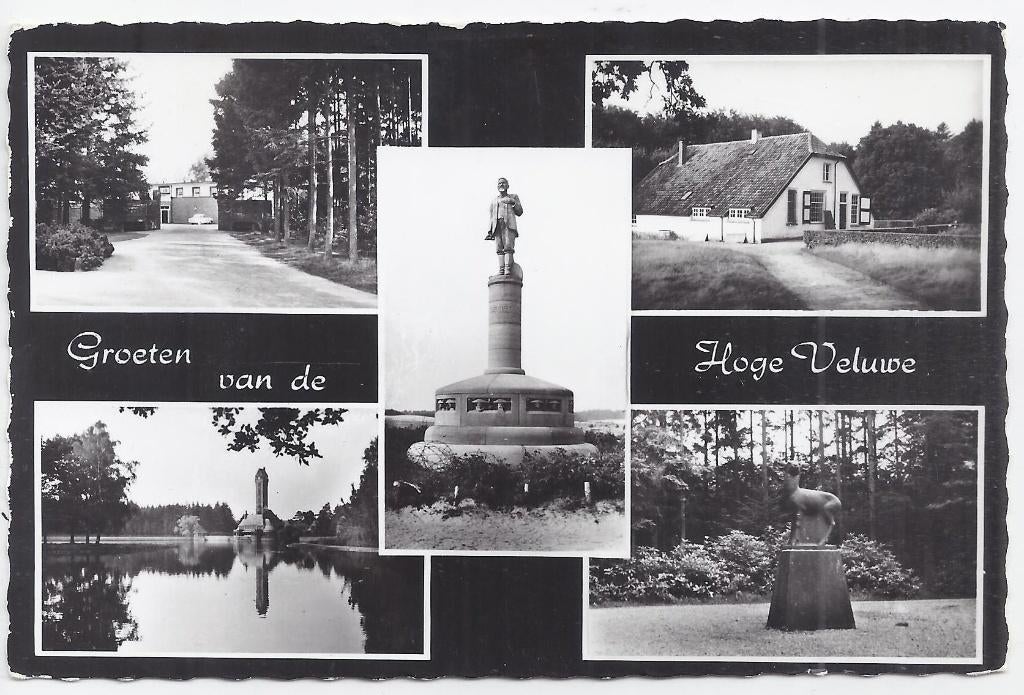 De Hoge Veluwe - Oude ongelopen ansichtkaart B732, Ophalen of Verzenden, 1960 tot 1980, Ongelopen, Gelderland