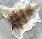 Slowakije Damherthuid begin 21e eeuw, Antiek en Kunst, Ophalen of Verzenden