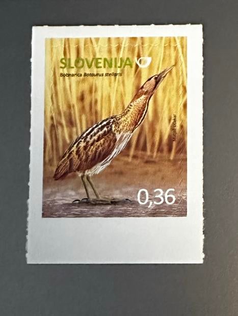 Slovenië 2014 - vogels Roerdomp postfris, Ophalen of Verzenden, Overige landen, Postfris