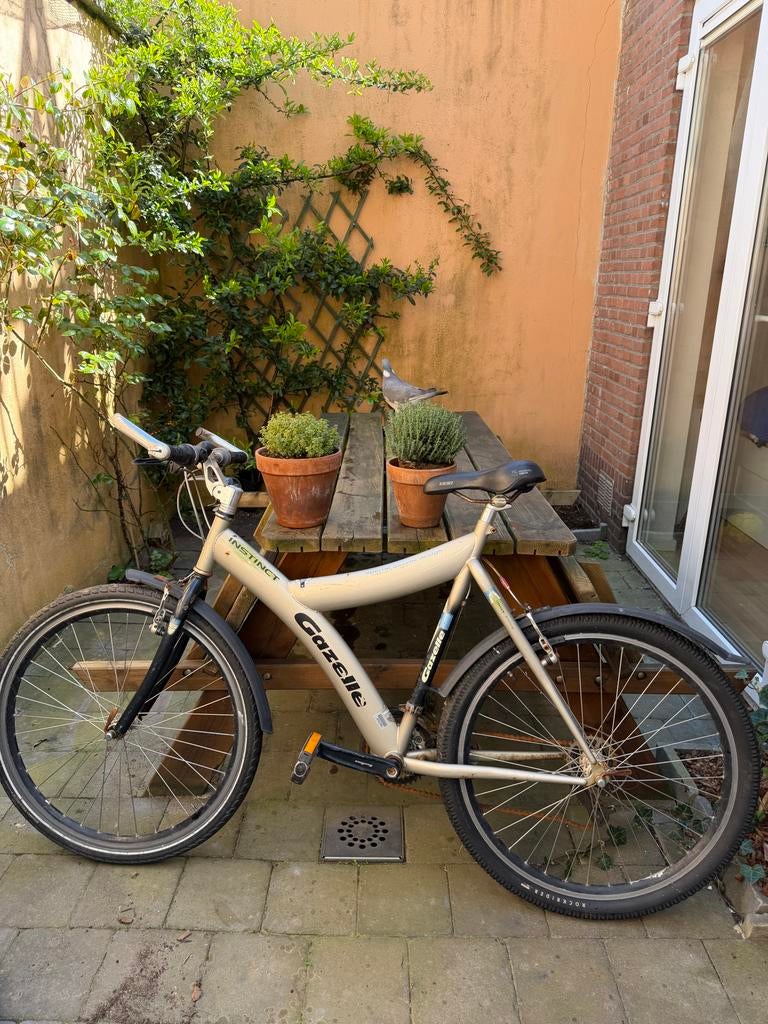 Gazelle Cr-Mo Instinct Mountainbike - Klassieke MTB, Fietsen en Brommers, Ophalen, Gebruikt, Heren, Geen vering