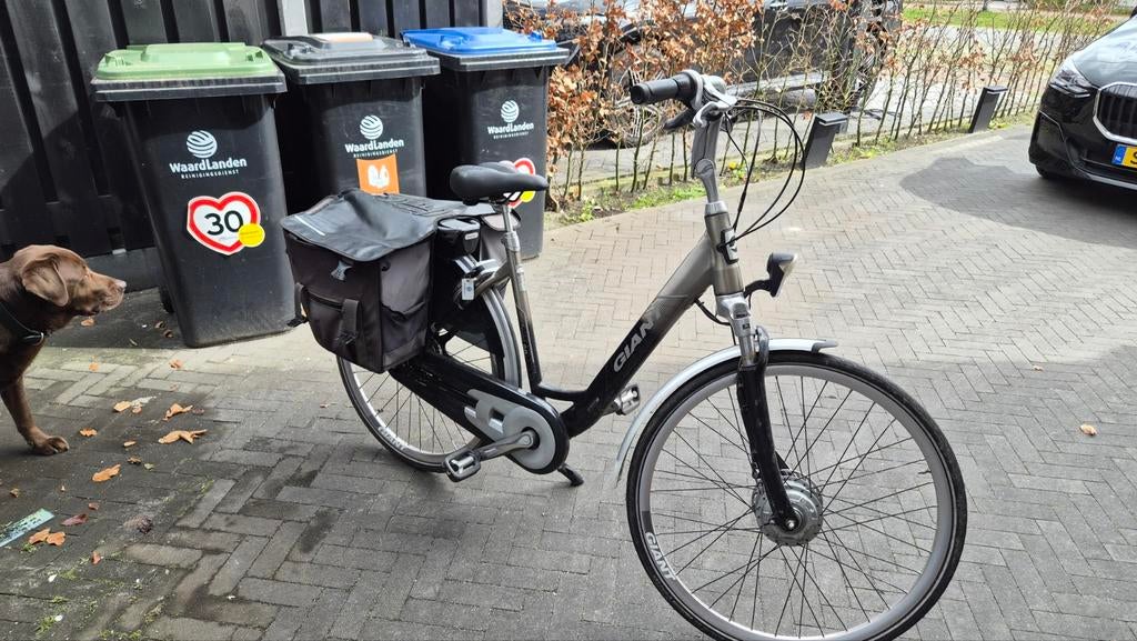 Giant double Twist Go (Display/controller defect), Ophalen, Gebruikt, Velgrem, Versnellingen