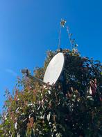 Triax schotelantenne, Ophalen, Gebruikt, (Schotel)antenne, Overige merken