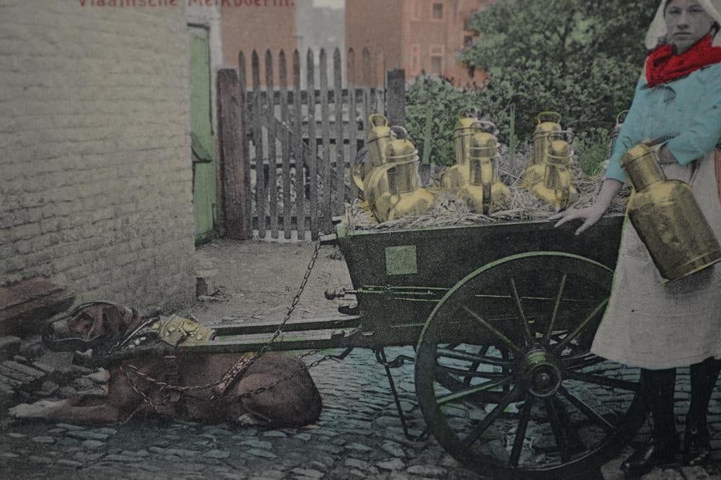 BELGIE VLAMINGEN 1910 MELKBOERIN HONDENKAR HOND, Ophalen of Verzenden, Voor 1920, Ongelopen, Sterren en Beroemdheden