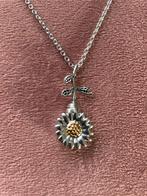 Ashanger / urnhanger Zonnebloem met ketting (11), Www.pand50.nl, Nieuw, Ophalen of Verzenden, Printer29BCoevorden