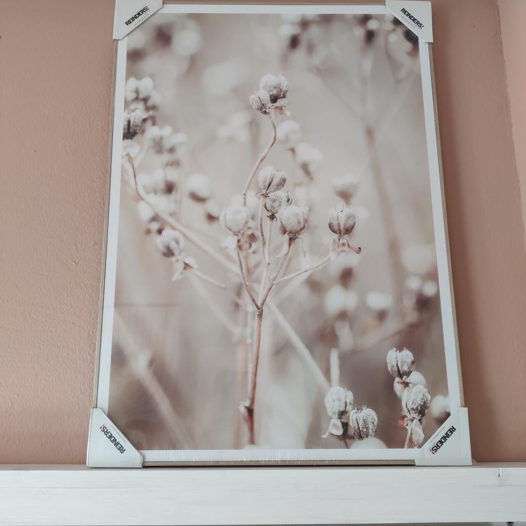 Reinders Schilderij 70x50 cm - Nieuw, Ophalen of Verzenden