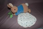 Pieter konijn peter rabbit knuffel knuffeldoekje - 22cm, Ophalen of Verzenden, Gebruikt, Konijn
