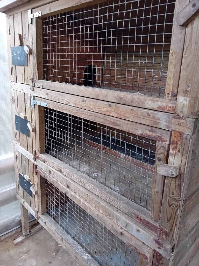 Konijnen flat, Dieren en Toebehoren, Knaagdieren en Konijnen | Hokken en Kooien, Ophalen, 90 cm of meer, Konijn, Hok