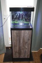 Aquarium superfish panorama 50 met enkele onderkast, Ophalen, Gebruikt, Superfish, Inclusief deksel