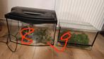 Gebruiken terrarium  9 stuks, Ophalen, Zo goed als nieuw, Overige typen