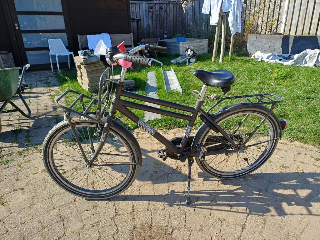 Alpina Cargo Kinderfiets - Stevige en Complete Fiets, Fietsen en Brommers, Fietsen | Kinderfietsjes, Ophalen, Gebruikt, 20 inch of meer