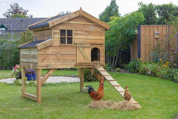 Kippenhok Jasper, Dieren en Toebehoren, Pluimvee | Toebehoren, Nieuw, Kippenhok of Kippenren, Ophalen of Verzenden