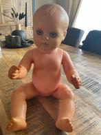 Vintage Schildkröt Kinderenpop - Germany 50, Ophalen of Verzenden, Gebruikt, Babypop