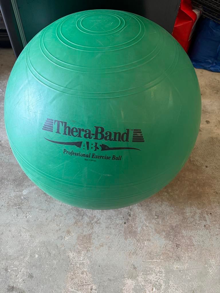 Thera-Band Professional Exercise Ball diameter van 50CM, Ophalen, Gebruikt, Fitnessbal