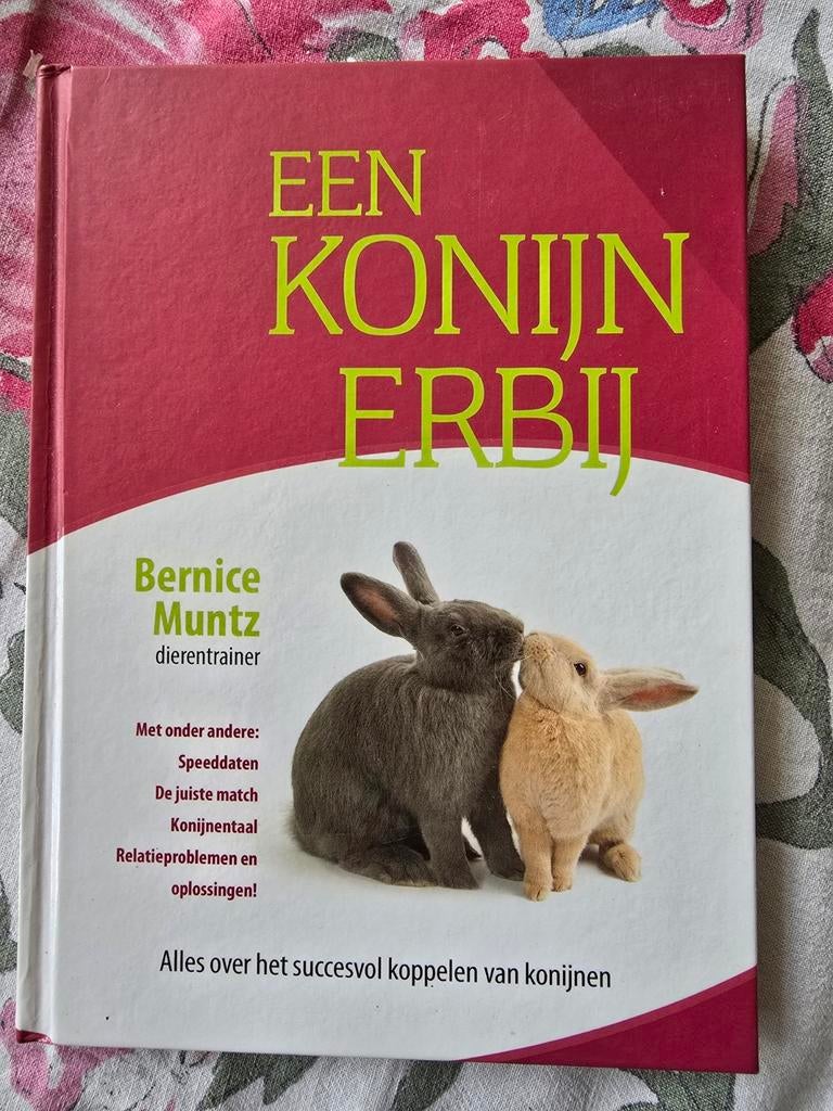 Een konijn erbij, Ophalen of Verzenden, Konijnen of Knaagdieren