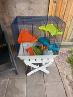 Hamster kooi, Minder dan 60 cm, Kooi, Minder dan 75 cm, Ophalen of Verzenden