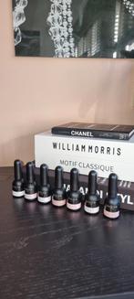 Sculpture Polybase Didier Lab (biab), Ophalen of Verzenden, Zo goed als nieuw, Overige kleuren, Handen en Nagels