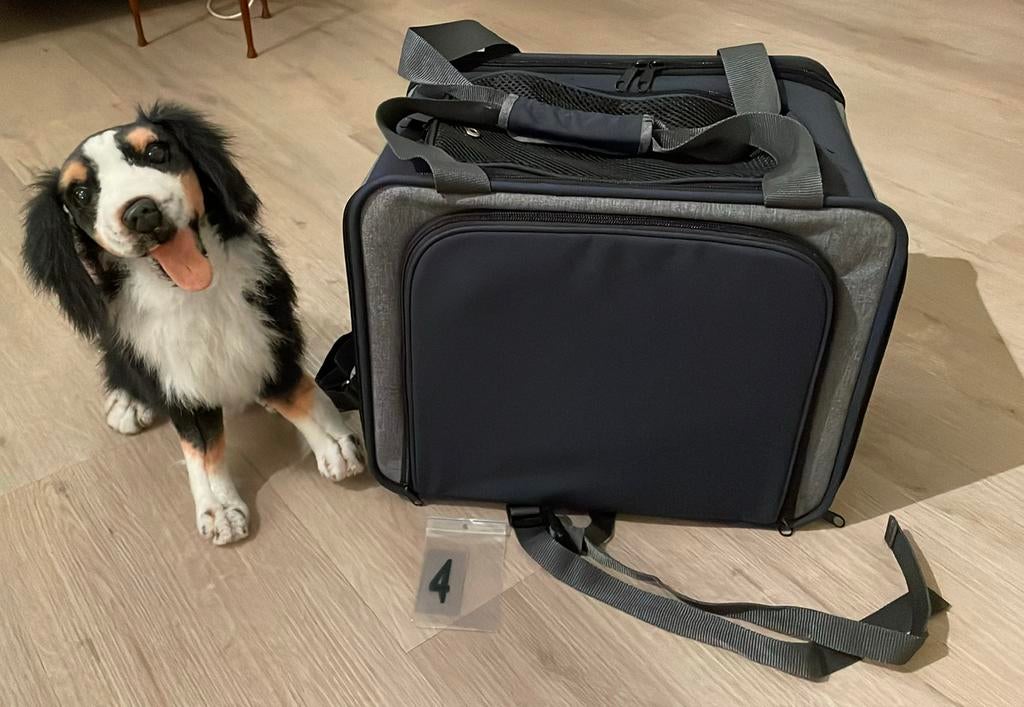 Transport basket/fietsmand achterop, voor viervoeters, Dieren en Toebehoren, Transportboxen, Ophalen of Verzenden