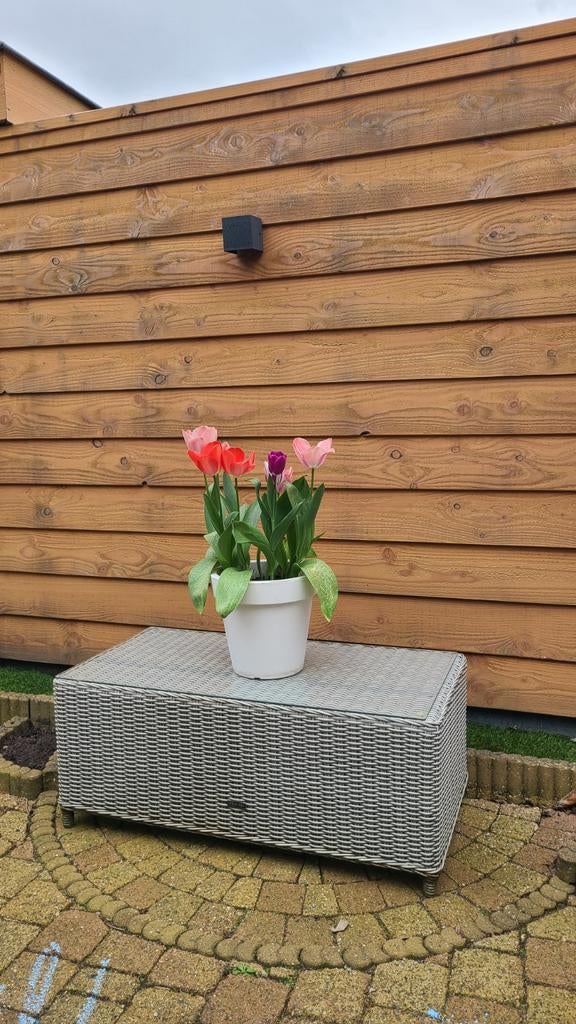 Intenso Wicker Bijzettafel Tuin - Grijs, Tuin en Terras, Ophalen, Rechthoekig, Wicker